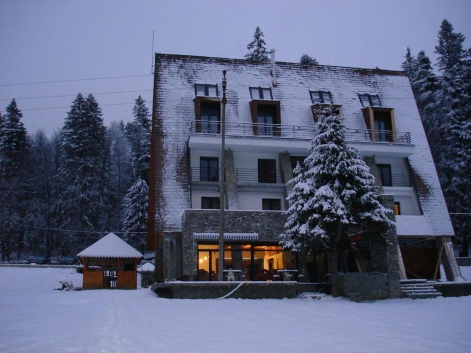 Pensiunea Rasnoava プレデアル エクステリア 写真